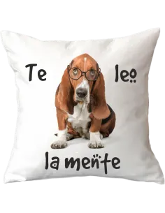 Cojín Blanco de 40x40cm 2