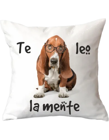 Cojín Blanco de 40x40cm