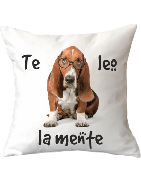 Cojín Blanco de 40x40cm