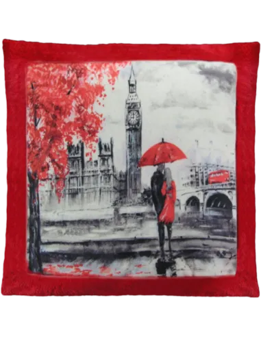 Cojín de peluche Rojo