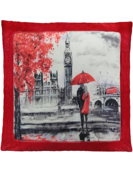 Cojín de peluche Rojo